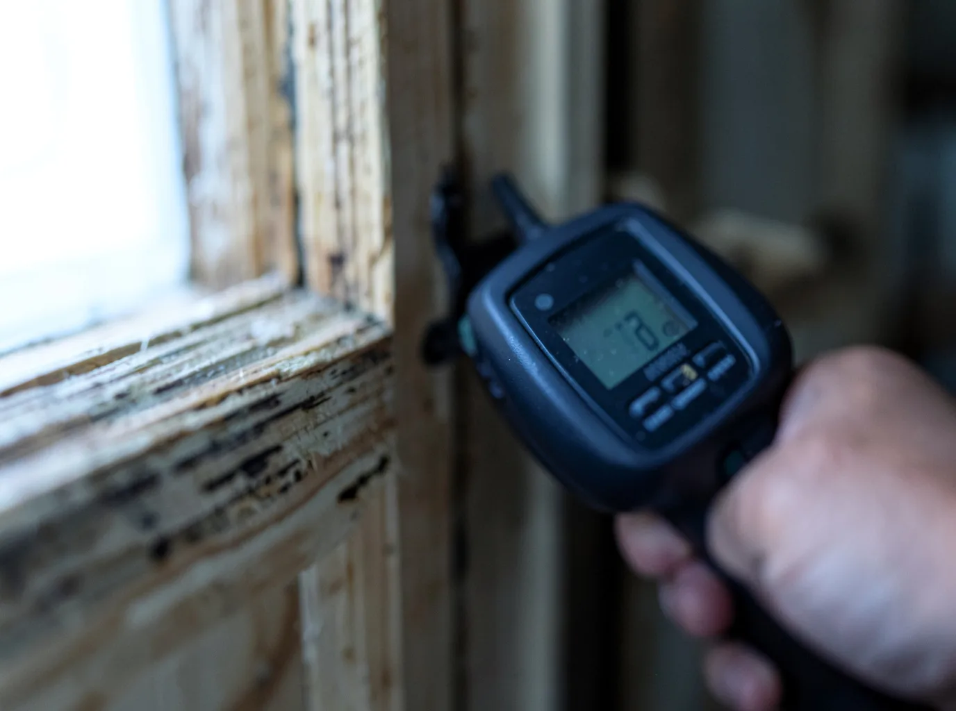 Moisture Inspection And Documentation in Calvin, LA
